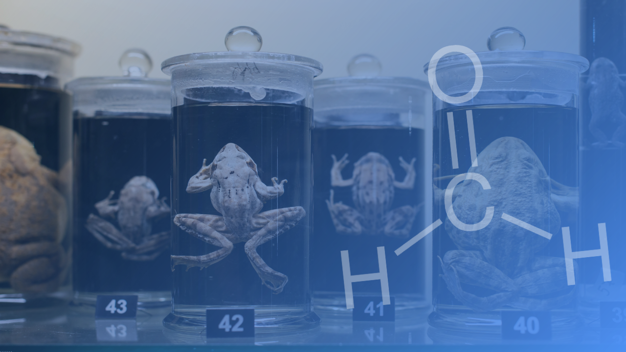 Understanding Formaldehyde